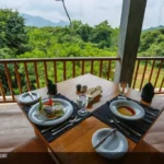 Wild grass nature resort3