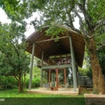 Wild grass nature resort5