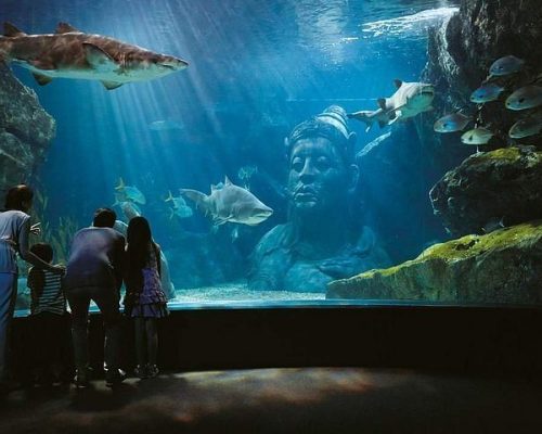 Aquarium BK