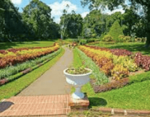 Botanical gardens