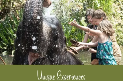 Experieces