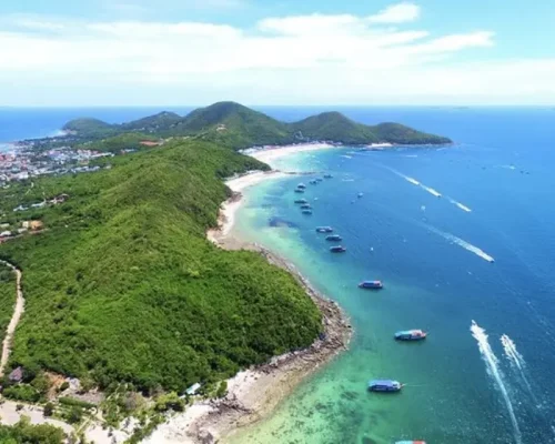 coral island