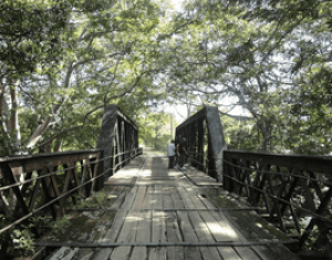 lunugamvehera national park