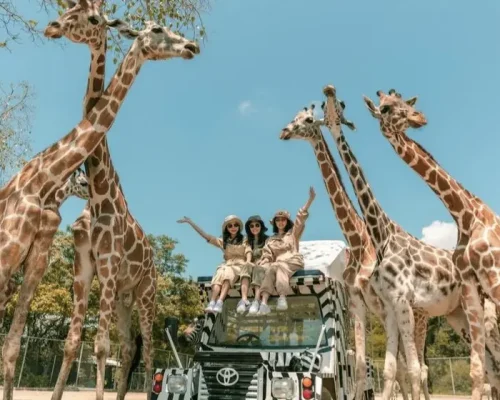 safari world3